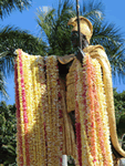 lei plumeria